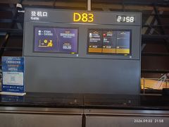 -上海浦东国际机场-T2航站楼