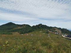 -白草畔自然风景区