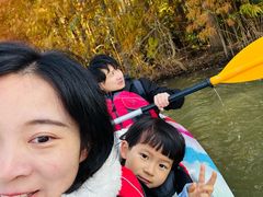 -上海海湾国家森林公园