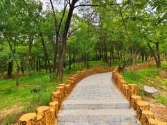 -白水寺森林公园