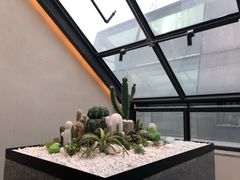 -大树餐厅(红旗街万达店)