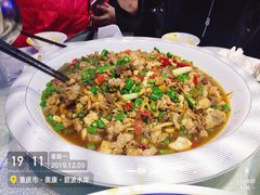 -新概念来凤鱼(璧山店)