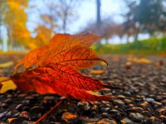 -大明宫国家遗址公园·御道广场