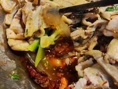 -百岁鱼(七一路店)