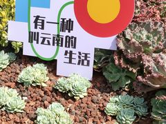 -南屏步行街