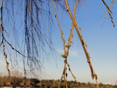 -长春市南湖公园