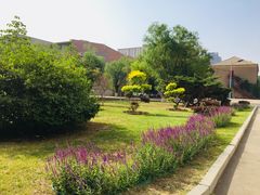 -辽宁大学(崇山校区)
