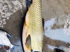 -庐山西海国际温泉度假村