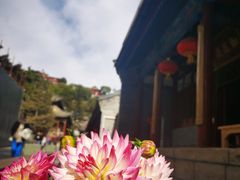 -五台山风景区