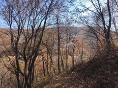 -香炉山国家森林公园