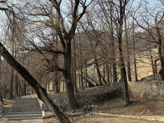 -阳台山自然风景区