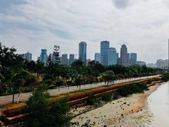 -万绿园
