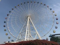 -琴岛之星摩天轮