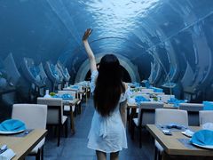 -涛·海底餐厅·美人鱼·自助餐·海底隧道(三亚海棠湾洲际度假酒店)