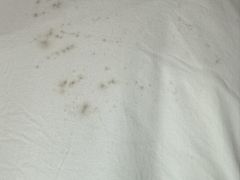 -北京北方佳苑饭店