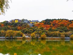 -北山公园