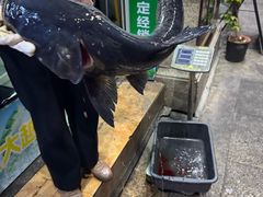 -好灶头妈妈菜·千岛湖土菜地标美食