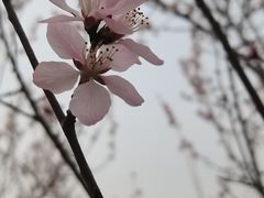 -马家湾湿地公园