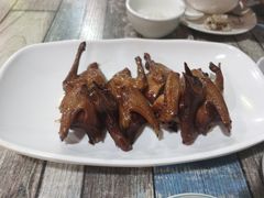 -东鸽皇(奥园·中环广场店)