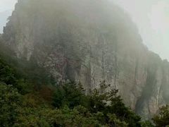 -牛背梁国家森林公园