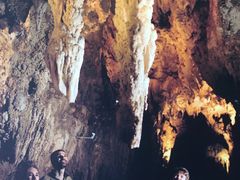 -怀托摩萤火虫洞