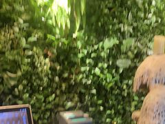 -外婆家(杭州马塍店·杭帮菜名店)