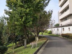 -四川大学(江安校区)