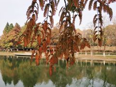 -白塘生态植物园