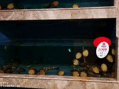 -香融府·烤鸭·家常菜(马家堡路店)