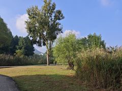 -长广溪湿地公园
