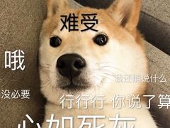 -鱼塘剧本推理桌游吧