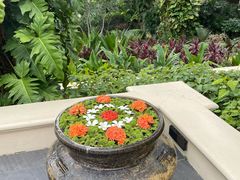 -四季酒店下午茶