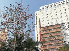 -深圳海景嘉途酒店(东翼楼)