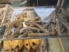-齐家扬州老鹅(东关街店)