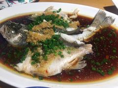 清蒸鲈鱼-蜀宴小调·精致家常菜(科华店)