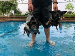 -太阳岛度假酒店