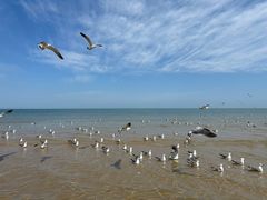 -那香海钻石沙滩浴场