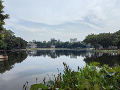 -荔湾湖公园