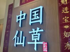 -书亦烧仙草(万家丽一店)