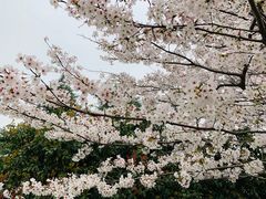 -闵行体育馆-停车场