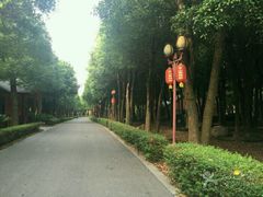 -东山香樟园
