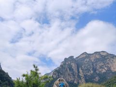 -云台山风景名胜区