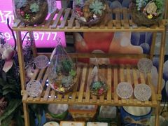 -老北京绿豆饼(解放路店)