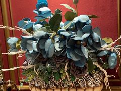 -新雅粤菜馆(南京东路店)