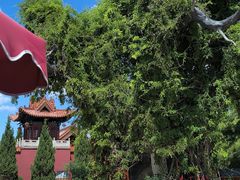 -大槐树寻根祭祖园