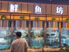 -老船舫·现做活鲜鱼馆(东郊记忆店)