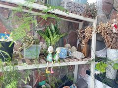 -深圳海边小筑客栈