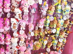 -安吉Hello Kitty乐园