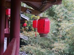-阿哈湖国家湿地公园