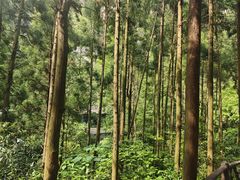 -雁荡山风景名胜区